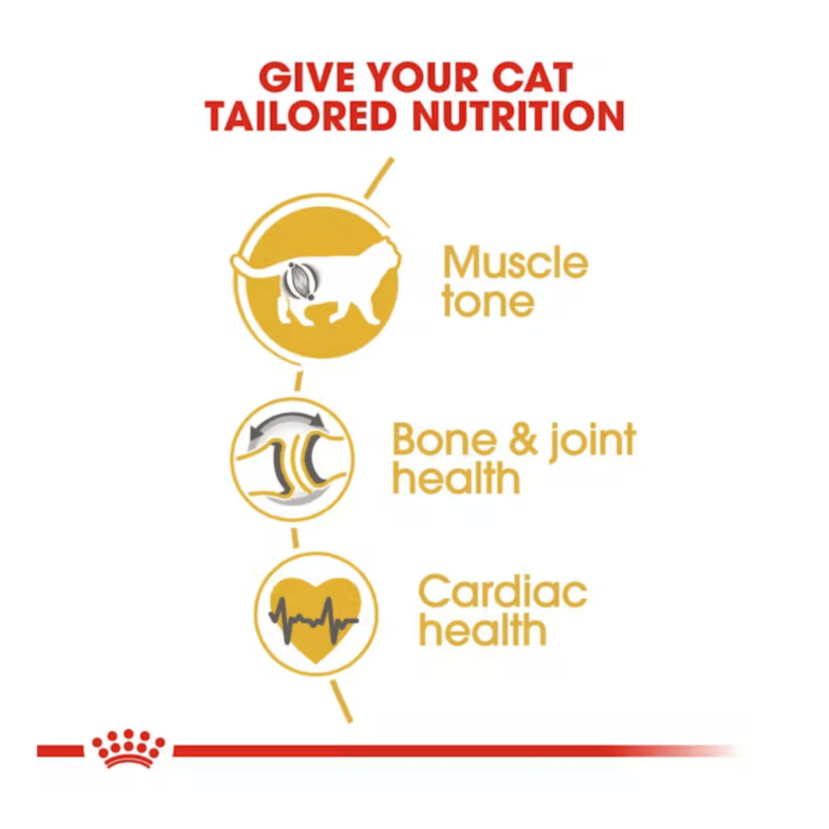 Royal Canin British Short Hair Dry Cat Food - Pet Supply